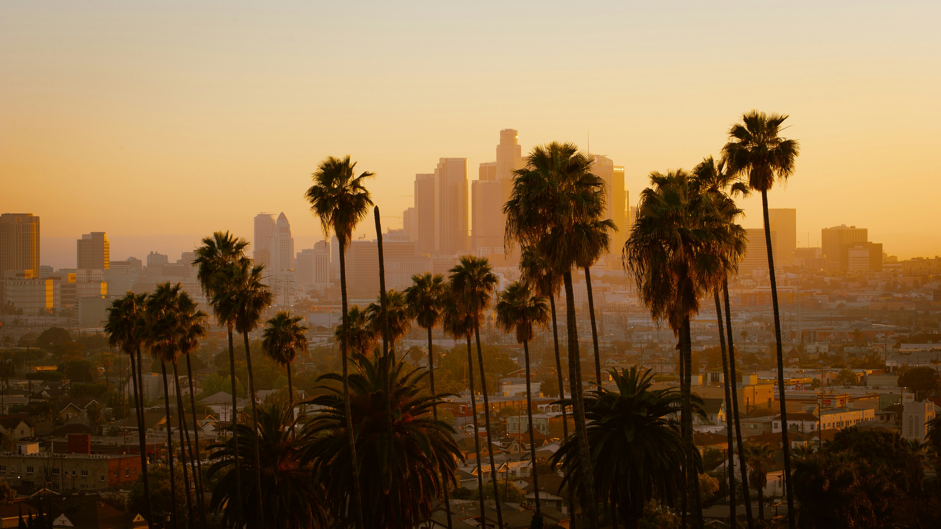Los Angeles Skyline from Griffith Observatory