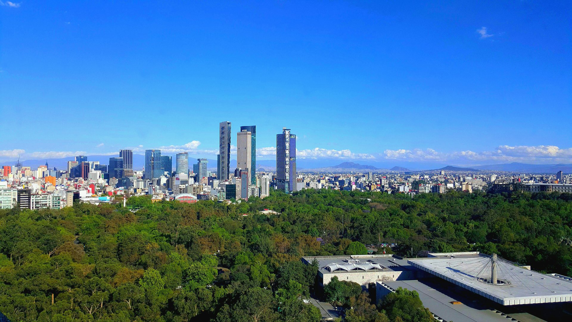 Paseo de la Reforma Skyline