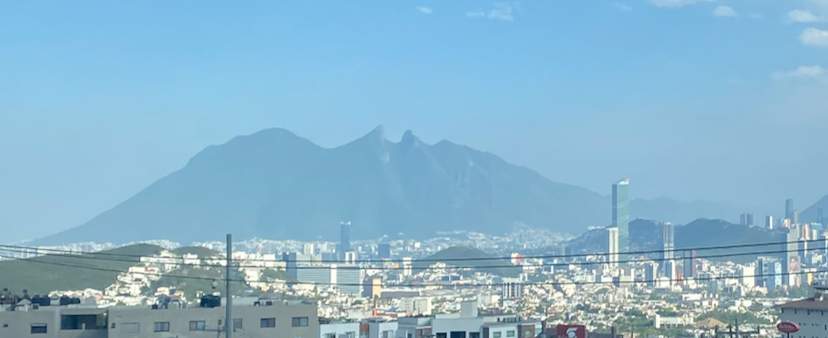 Estadio Monterrey Backdrop
